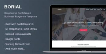 Borial v1.0.4 - Business & Agency Template