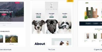 Astra Premium Sites v3.1.8 PACKAGE