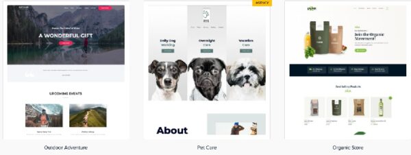 Astra Premium Sites v3.1.8 PACKAGE