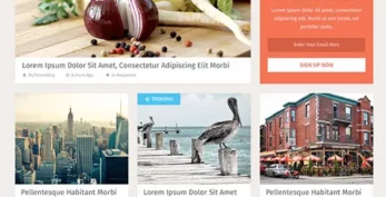 MyThemeShop SociallyViral WordPress Theme v2.4.9