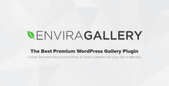Envira Gallery WordPress Plugin