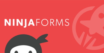Ninja Forms Layout and Styles