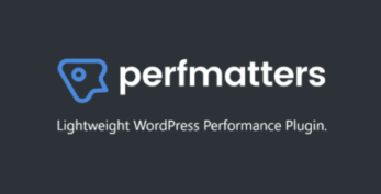 Perfmatters WordPress Plugin