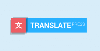 WordPress Multilingual Translation Management Addon