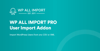 Soflyy WP All Import Pro User Import Addon