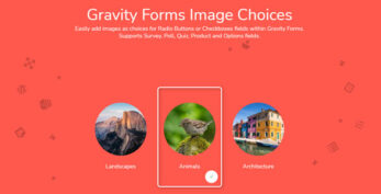 Jetsloth – Gravity Forms Image Choices