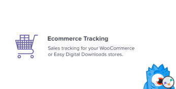 MonsterInsights – eCommerce Addon