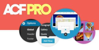 Advanced Custom Fields Multilingual