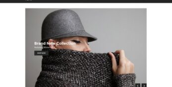 CSS Igniter Neto WooCommerce Theme v1.1.1