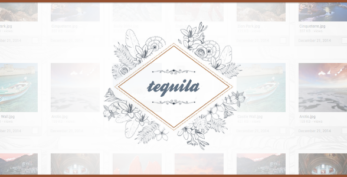 Tequila - File Hosting Script | Loaders and Uploaders