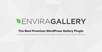 Envira Gallery – Pagination Addon