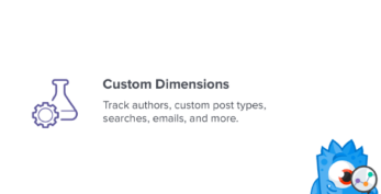 MonsterInsights – Dimensions Addon