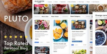 Pluto Clean Personal WordPress Masonry Blog Theme v4.40