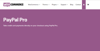 WooCommerce PayPal Pro