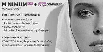MINIMUM v4.1 – Professional WordPress Theme