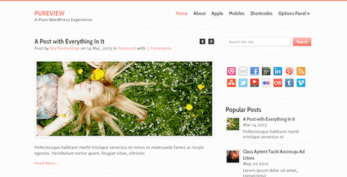 MyThemeShop Pureview WordPress Theme v1.1.2