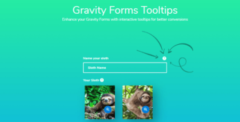 Jetsloth – Gravity Forms Tooltips