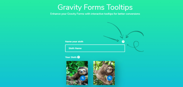 Jetsloth – Gravity Forms Tooltips