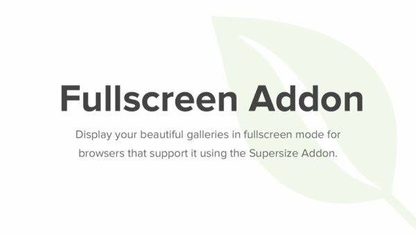Envira Gallery – Fullscreen Addon