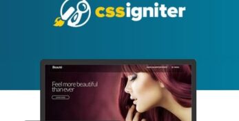 CSS Igniter v2.0.6 Beaute WordPress Theme