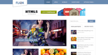 MyThemeShop v1.1.2 Flick WordPress Theme