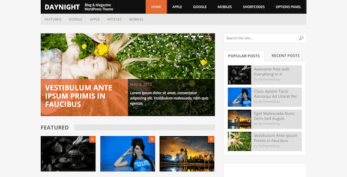 MyThemeShop v1.1.2 Daynight WordPress Theme