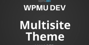 WPMU DEV Multisite Theme Manager