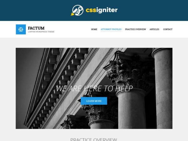 CSS Igniter v1.1.1 Factum WordPress Theme