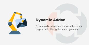 Soliloquy Dynamic Addon