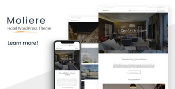 CSS Igniter v1.6.2 Moliere WordPress Theme