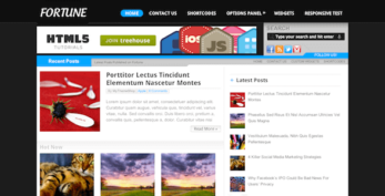 MyThemeShop v1.1.1 Fortune WordPress Theme