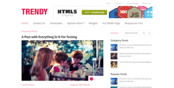 MyThemeShop v1.2.1 Trendy WordPress Theme