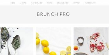 StudioPress v4.2.0 Brunch Pro Genesis WordPress Theme