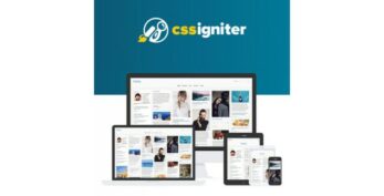 CSS Igniter v1.1.0 Pinfinity WordPress Theme