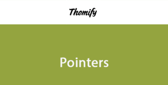 Themify Builder Pointers