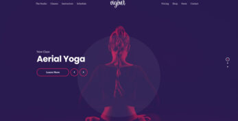 CSS Igniter v1.1.1 Vigour WordPress Theme