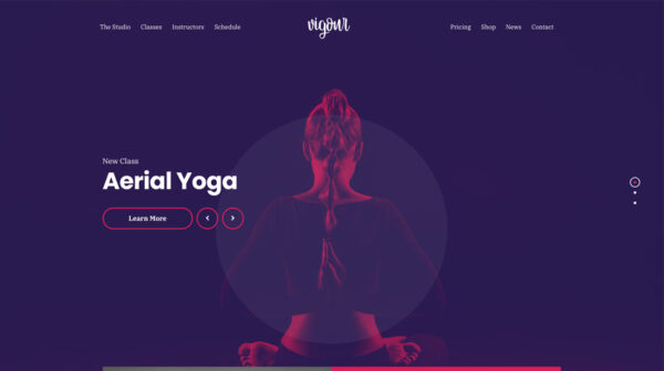 CSS Igniter v1.1.1 Vigour WordPress Theme