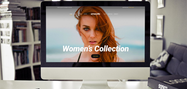 CSS Igniter Amaryllis v1.2.6 WordPress Theme