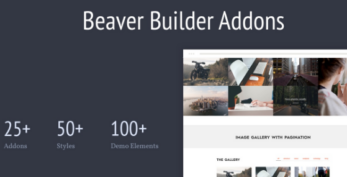 Livemesh Addons for Beaver Builder