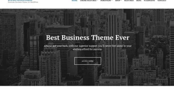 CSS Igniter Business3ree WordPress Theme v1.1.5