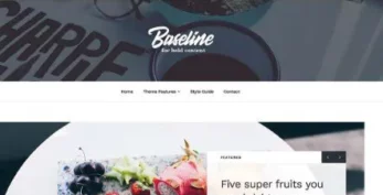 Array v1.2.9 Themes Baseline WordPress Theme