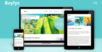 ElmaStudio v1.1.6 Baylys WordPress Theme