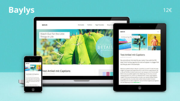 ElmaStudio v1.1.6 Baylys WordPress Theme