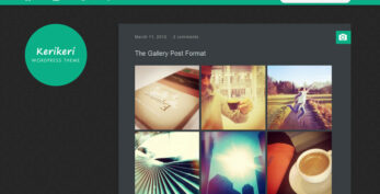 ElmaStudio v1.0.3 Kerikeri WordPress Theme