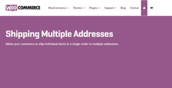 WooCommerce Shipping Multiple Addresses