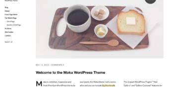 ElmaStudio v1.1.8 Moka WordPress Theme