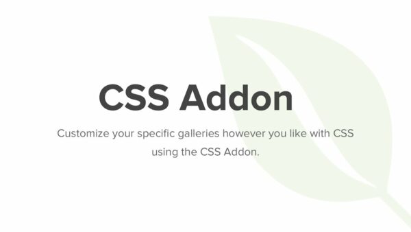 Envira Gallery – CSS Addon