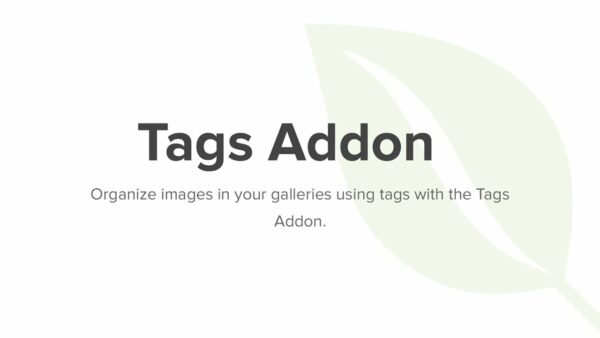 Envira Gallery – Tags Addon