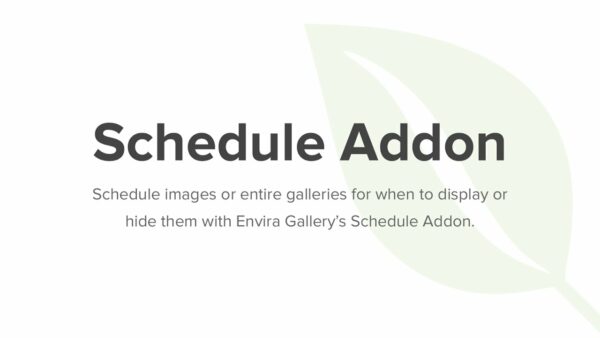 Envira Gallery – Schedule Addon
