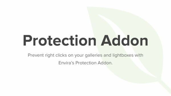 Envira Gallery – Protection Addon